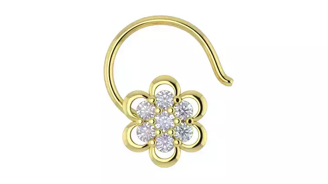 Nosepin 3D print model