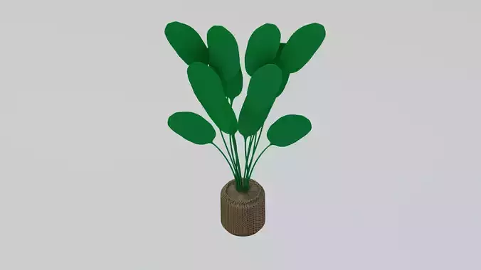 Plants Vase