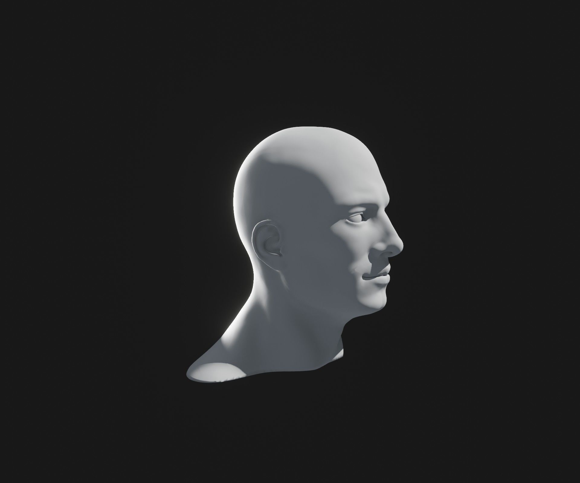 Male Female Head Base Mesh 3D Model Animated Facial Expressions Low-poly 3D model_36