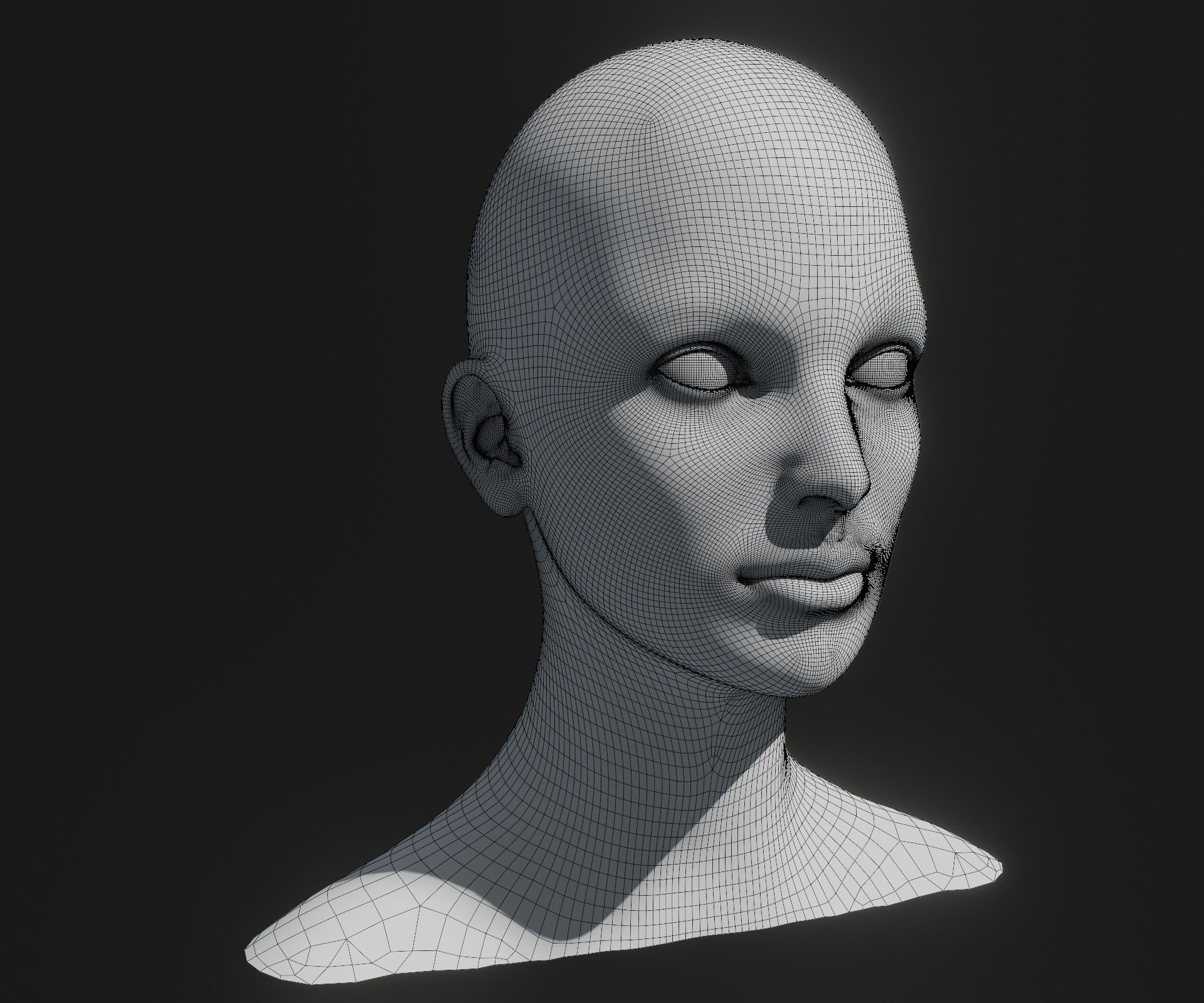 Male Female Head Base Mesh 3D Model Animated Facial Expressions Low-poly 3D model_21