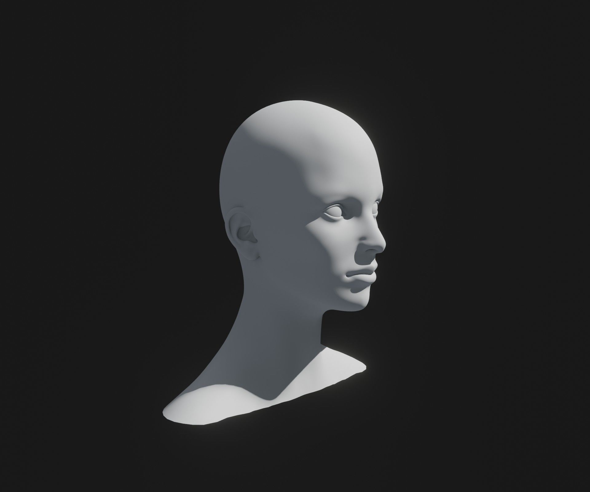 Male Female Head Base Mesh 3D Model Animated Facial Expressions Low-poly 3D model_10