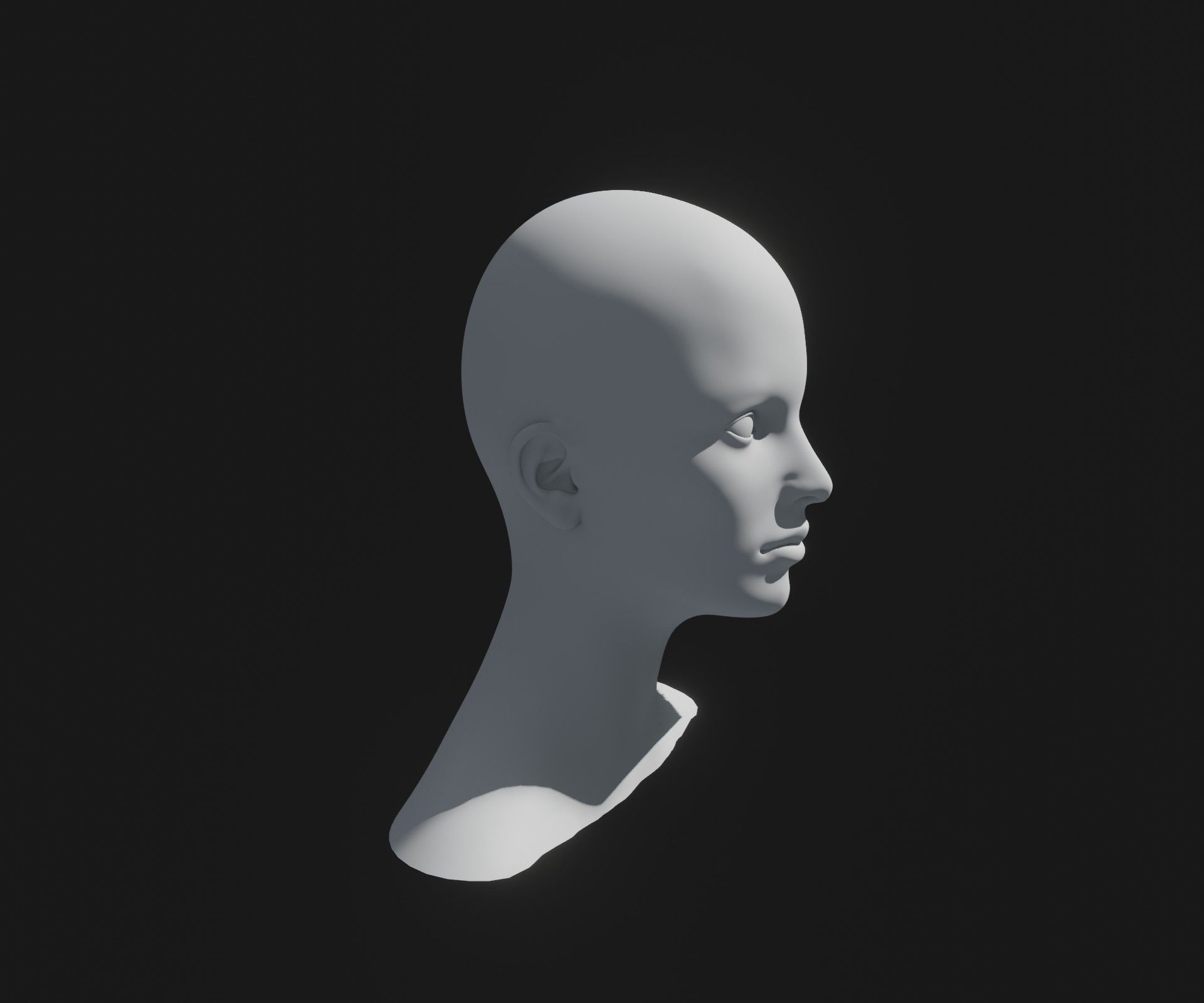 Male Female Head Base Mesh 3D Model Animated Facial Expressions Low-poly 3D model_14