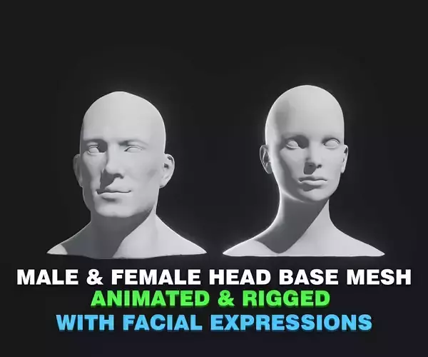 Male Female Heads Base Mesh 3D Model Animated Facial Expressions 3D Model Collection