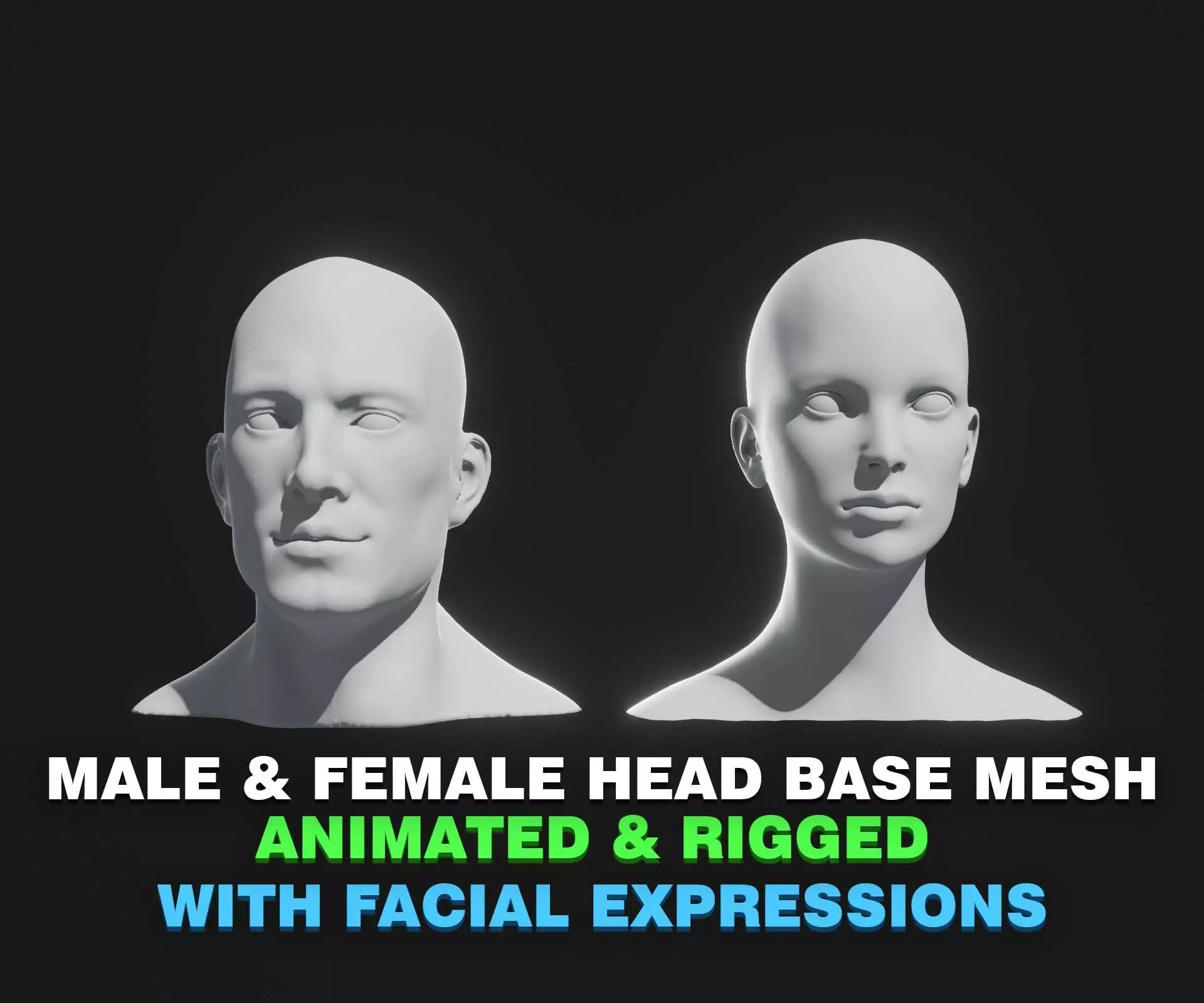 Male Female Heads Base Mesh 3D Model Animated Facial Expressions 3D Model Collection_0