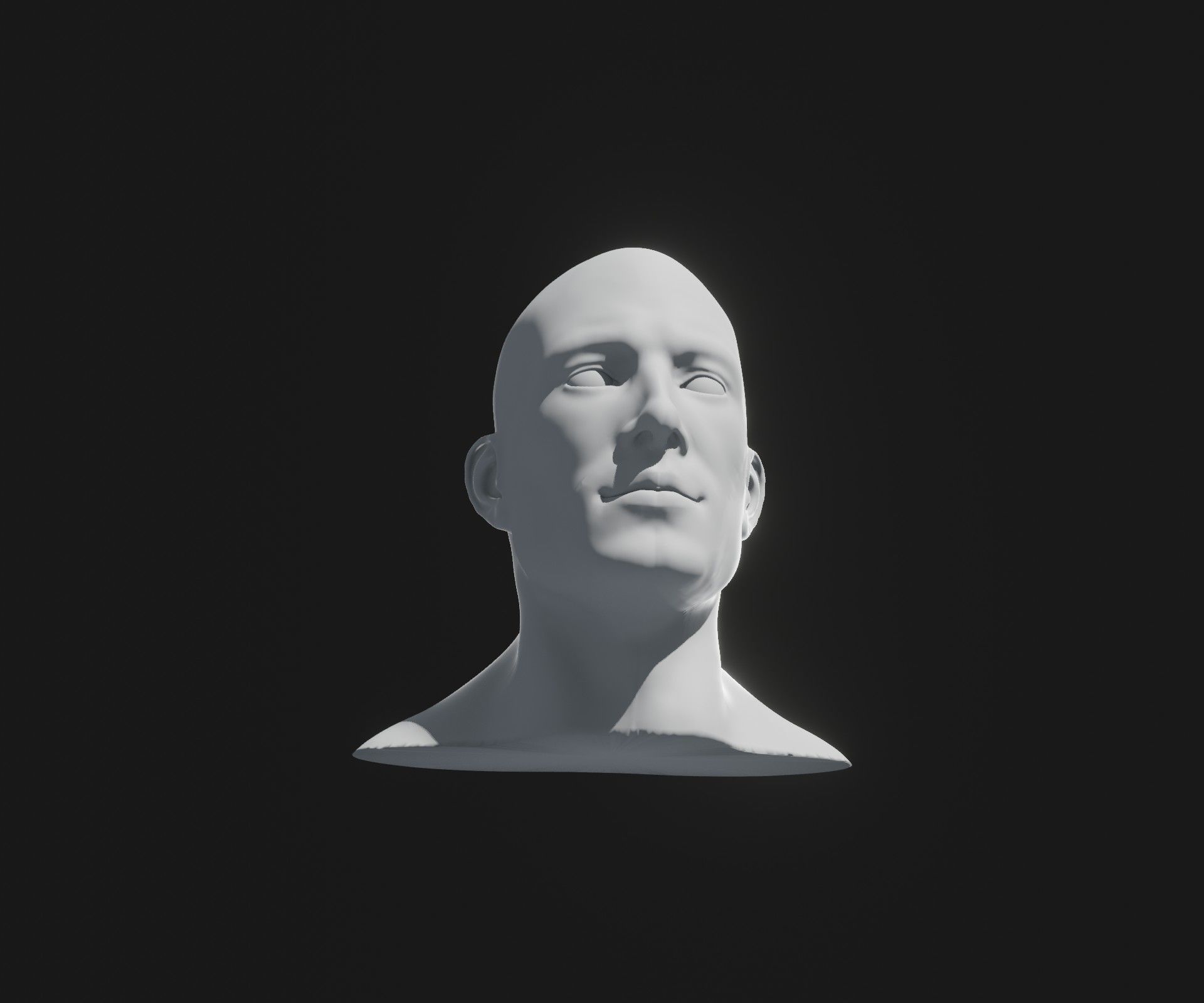 Male Female Heads Base Mesh 3D Model Animated Facial Expressions 3D Model Collection_30