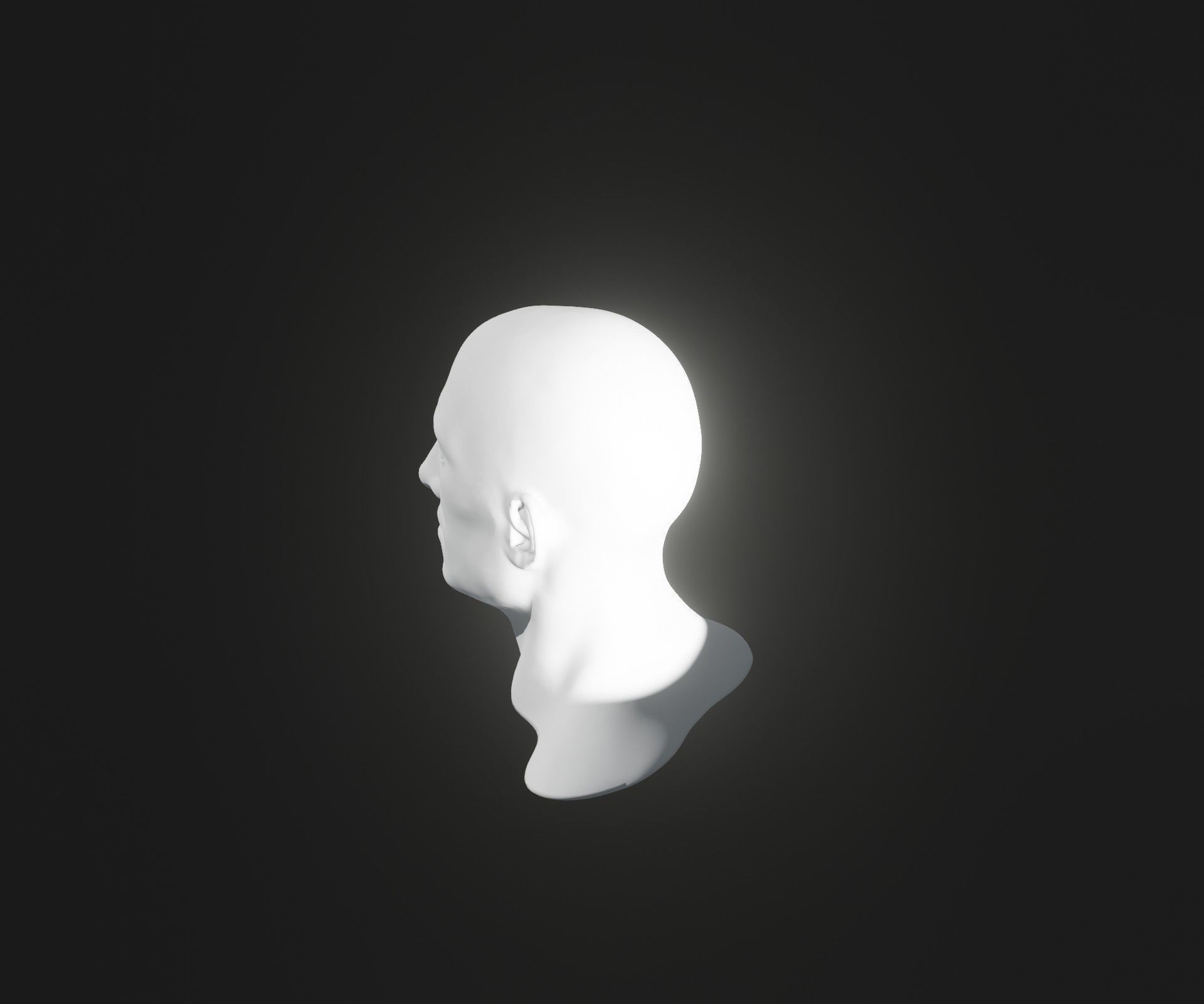 Male Female Heads Base Mesh 3D Model Animated Facial Expressions 3D Model Collection_34