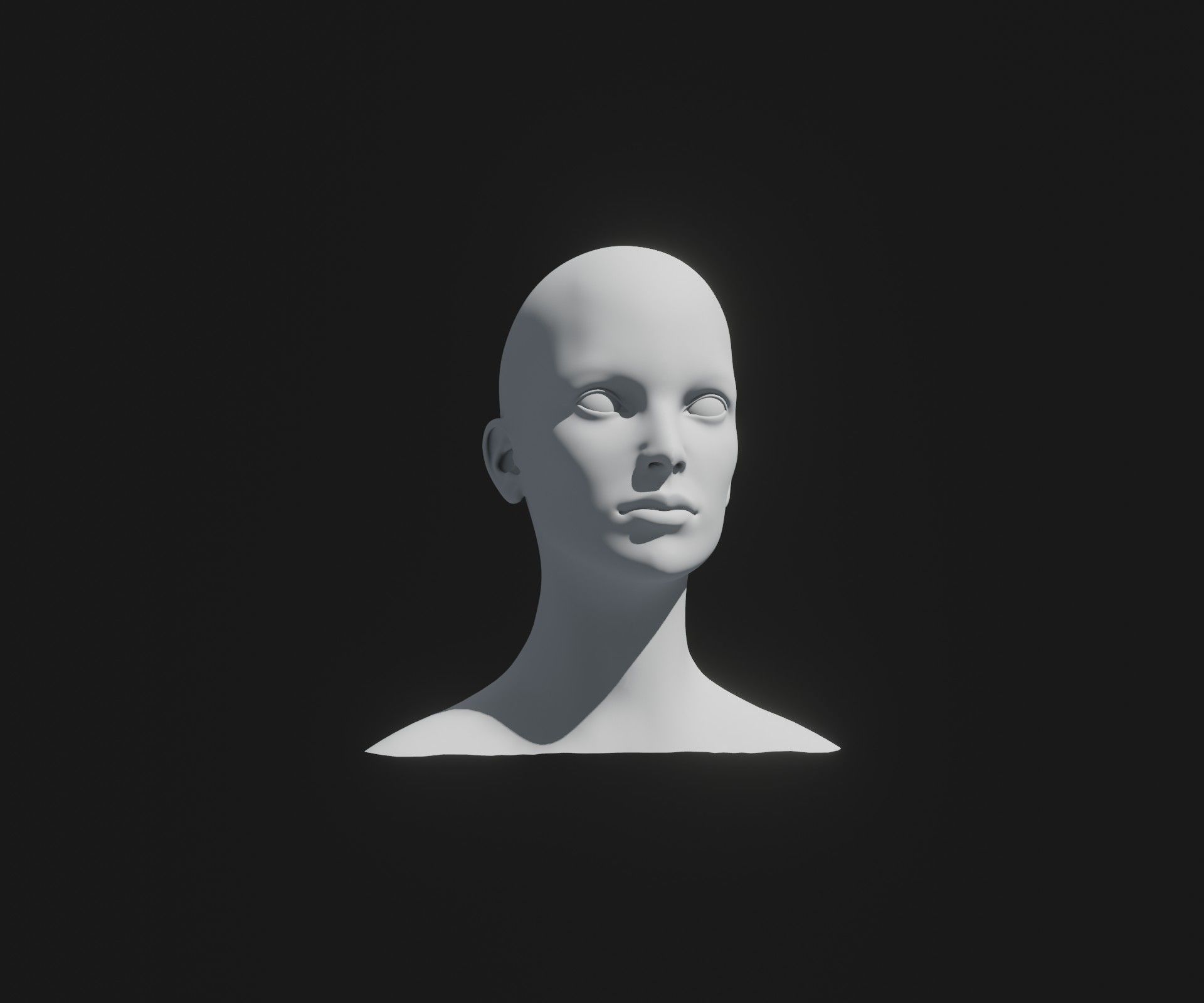 Male Female Heads Base Mesh 3D Model Animated Facial Expressions 3D Model Collection_17