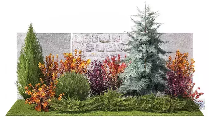 Garden trees thuja cypress spruce and Berberis pine 1386