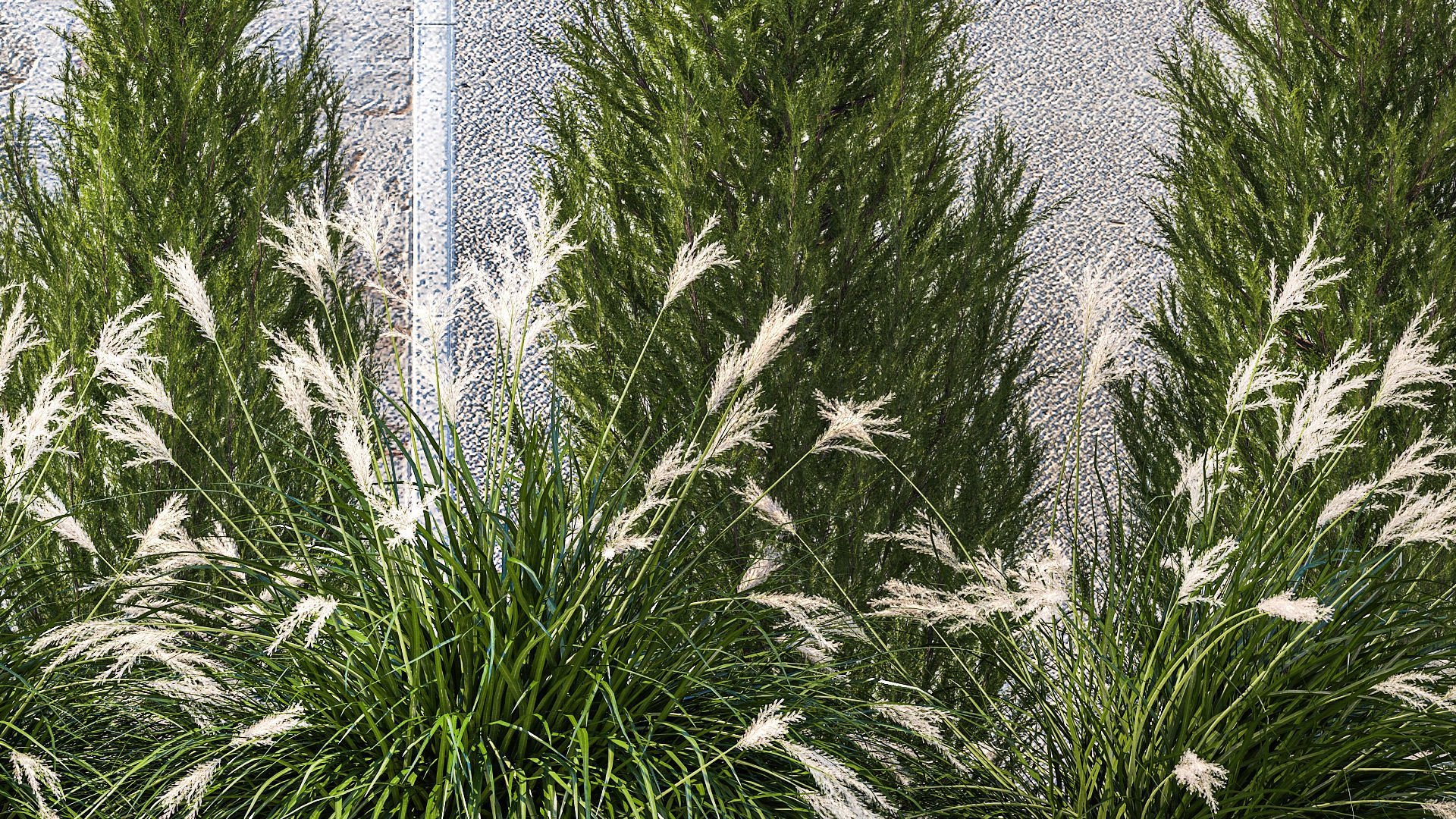 garden trees thuja cypress spruce pine miscanthus 1387 3D model_3