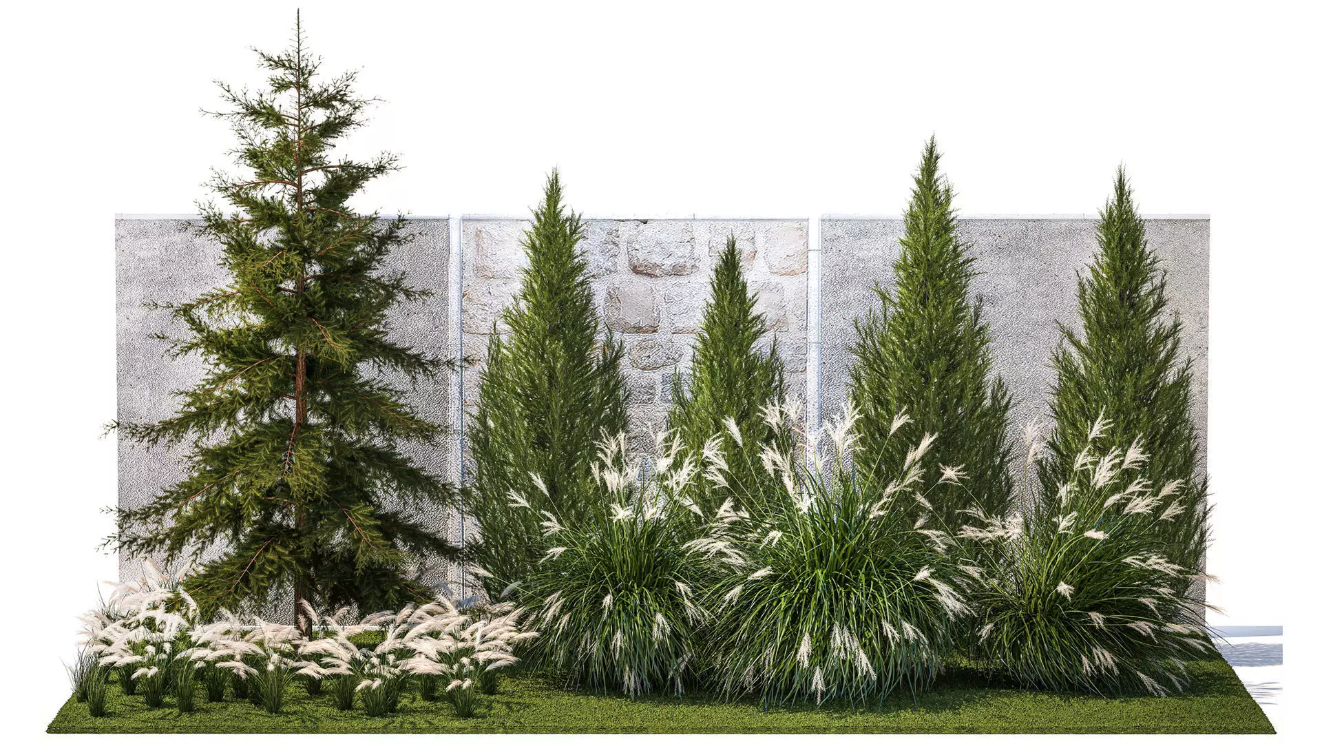 garden trees thuja cypress spruce pine miscanthus 1387 3D model_0