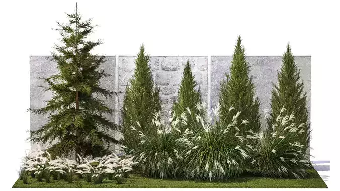 garden trees thuja cypress spruce pine miscanthus 1387