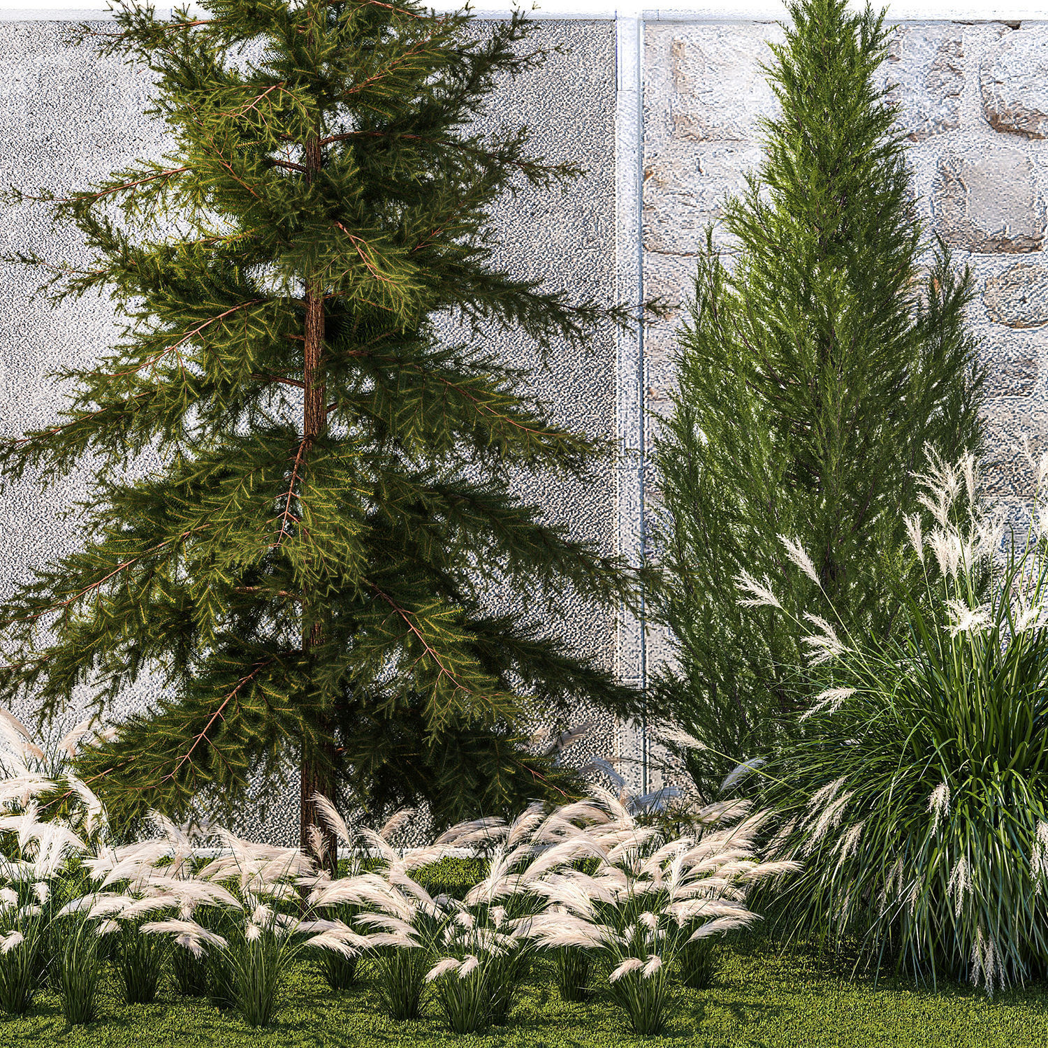 garden trees thuja cypress spruce pine miscanthus 1387 3D model_11