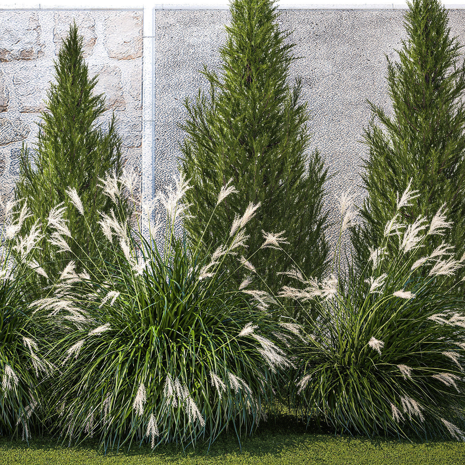 garden trees thuja cypress spruce pine miscanthus 1387 3D model_12
