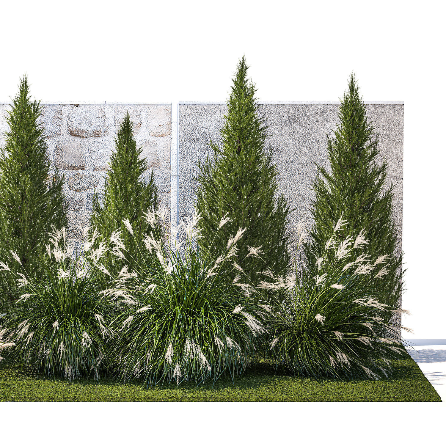 garden trees thuja cypress spruce pine miscanthus 1387 3D model_10