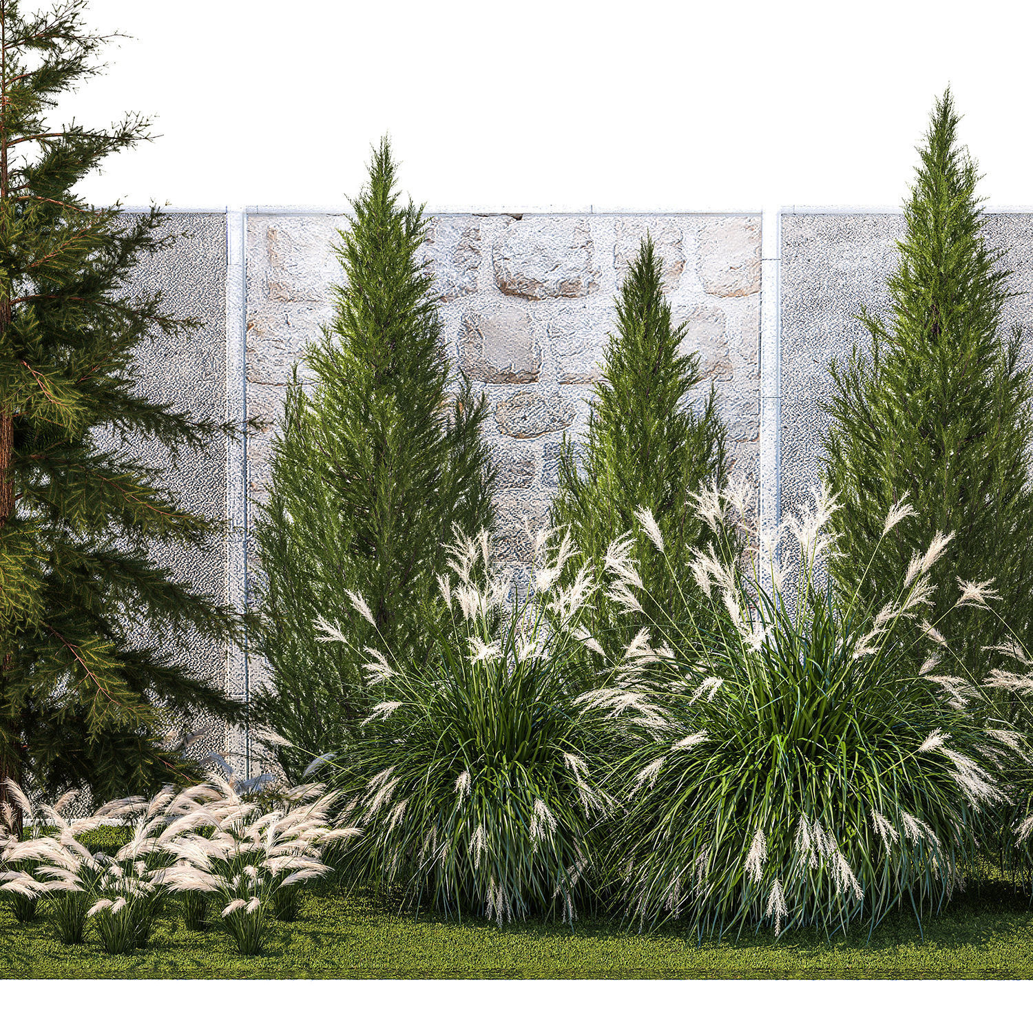 garden trees thuja cypress spruce pine miscanthus 1387 3D model_9