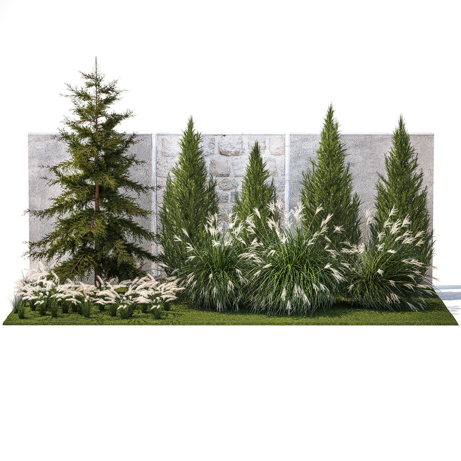 garden trees thuja cypress spruce pine miscanthus 1387 3D model_7