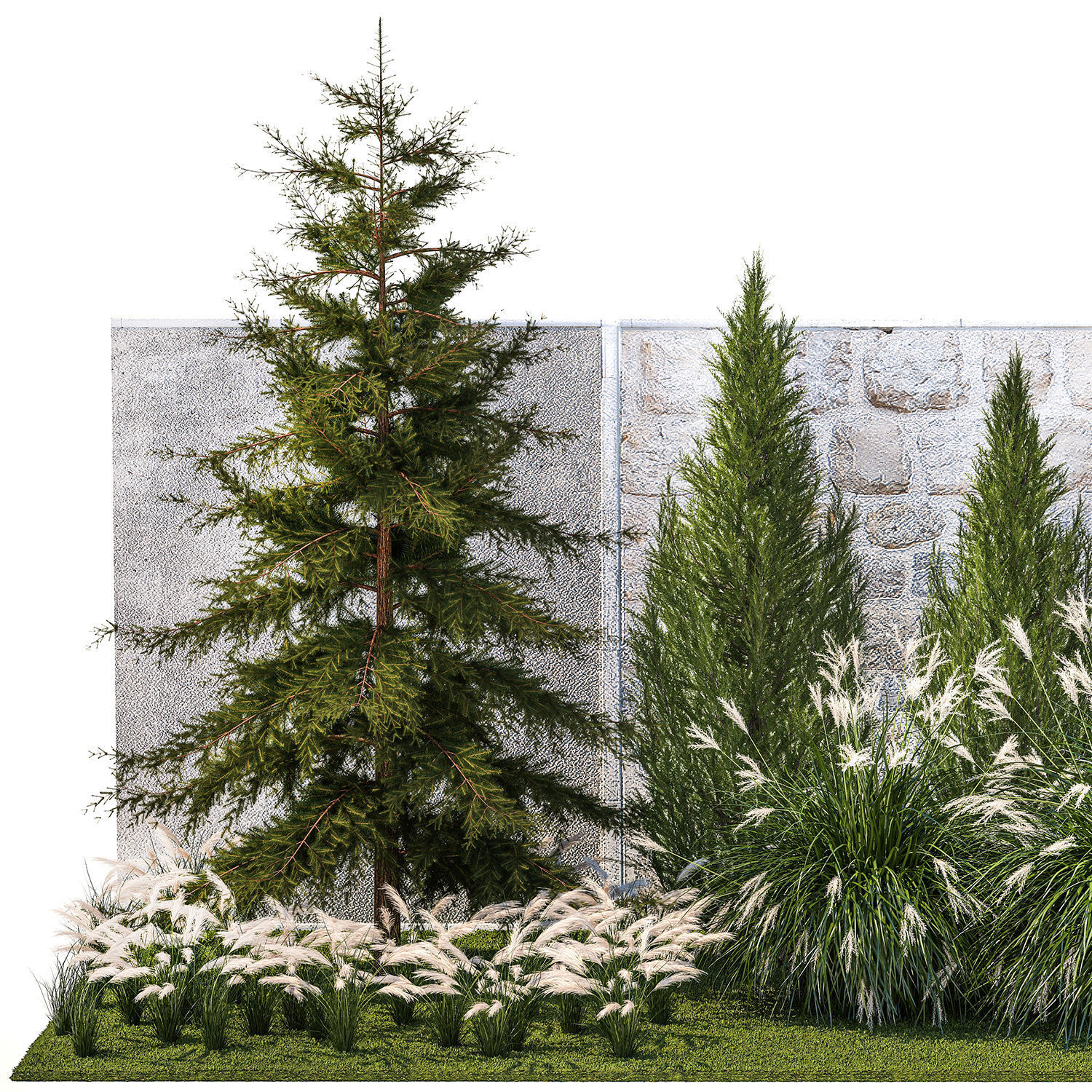 garden trees thuja cypress spruce pine miscanthus 1387 3D model_8