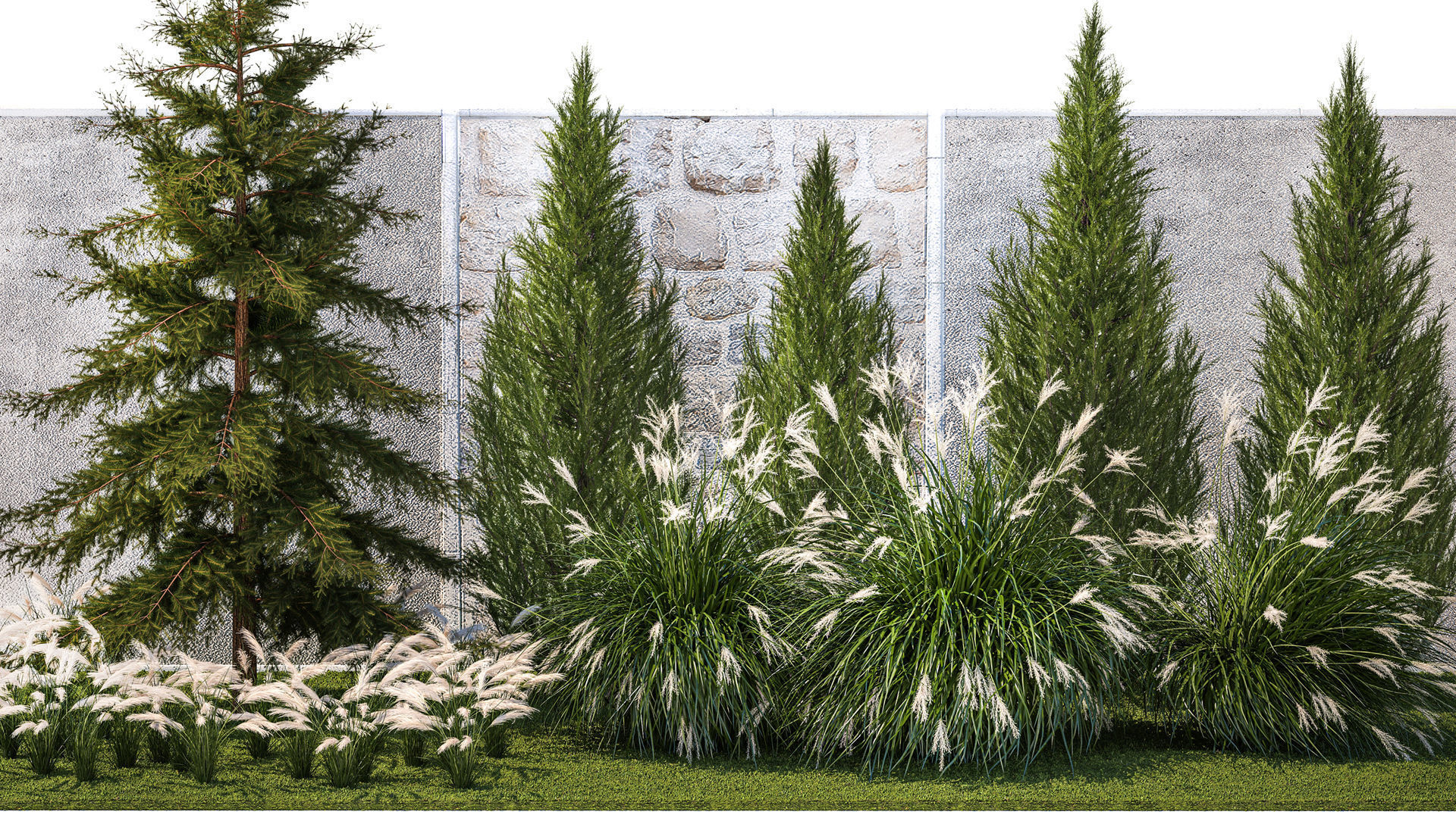 garden trees thuja cypress spruce pine miscanthus 1387 3D model_1