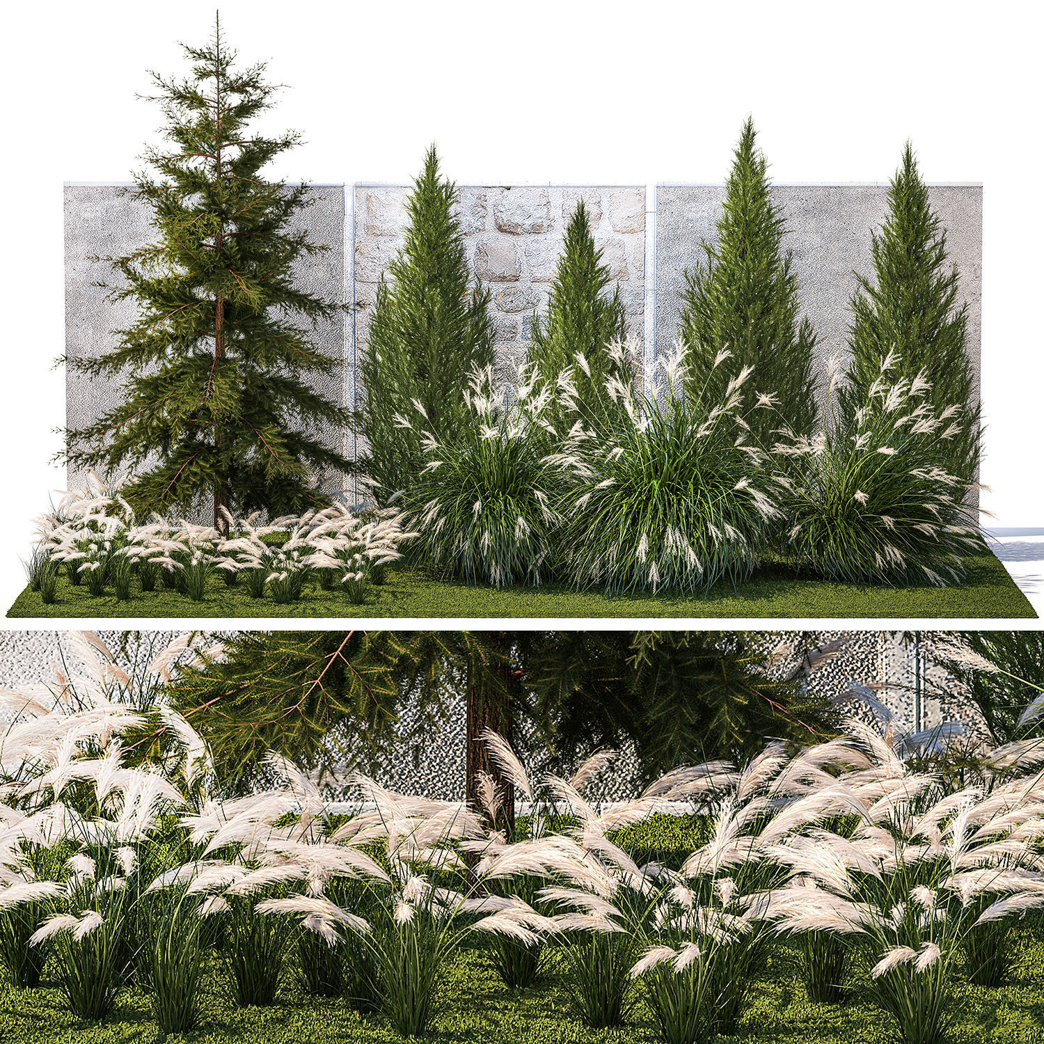 garden trees thuja cypress spruce pine miscanthus 1387 3D model_6