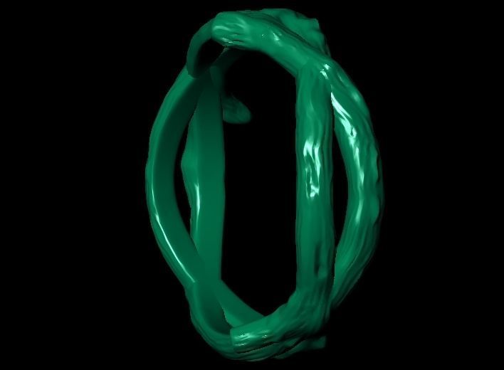 Tree wood branch ring band 3D print model_24