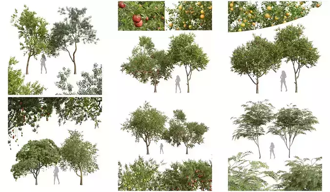  6 Different SETS of Tree SET VOL37 3D Model Collection