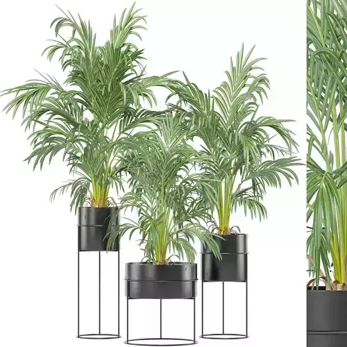 Decoration Indoor Plant set 08