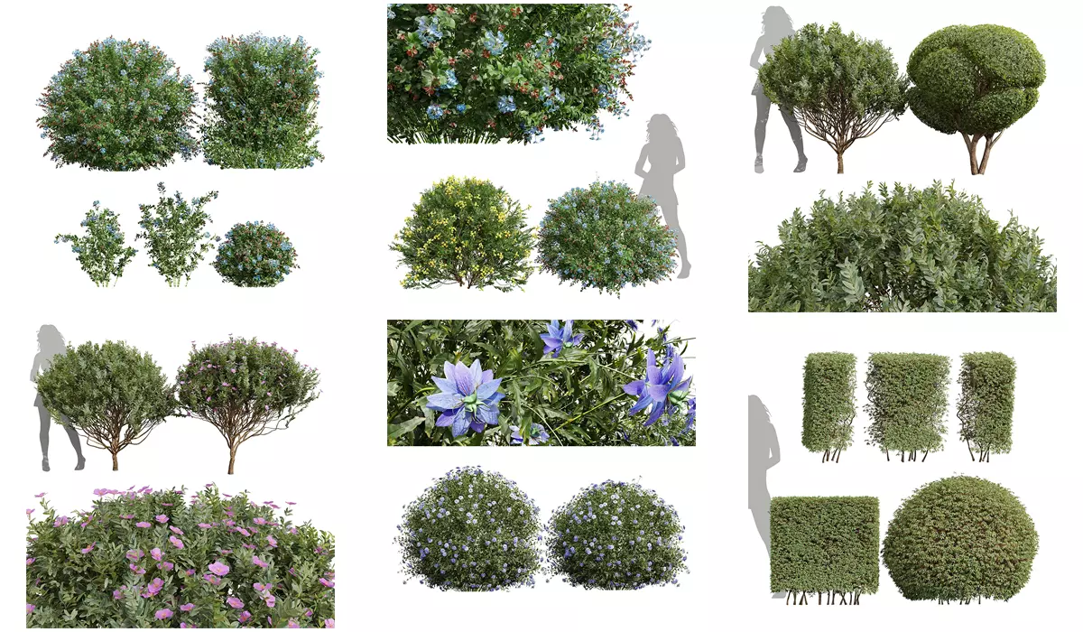 6 Different SETS of Box Bush SET VOL38 3D Model Collection_0
