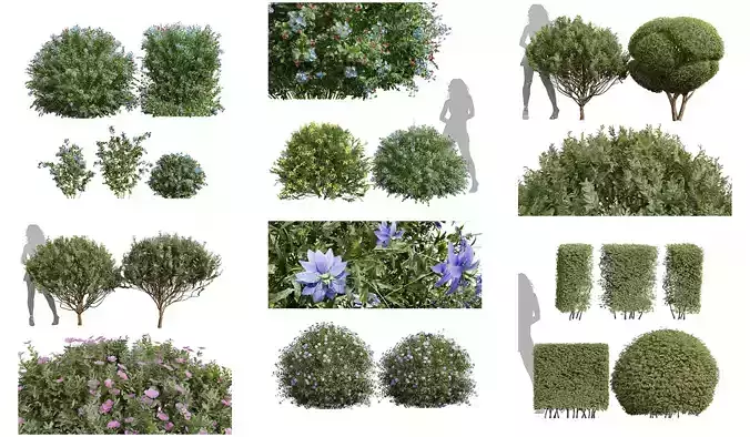  6 Different SETS of Box Bush SET VOL38 3D Model Collection