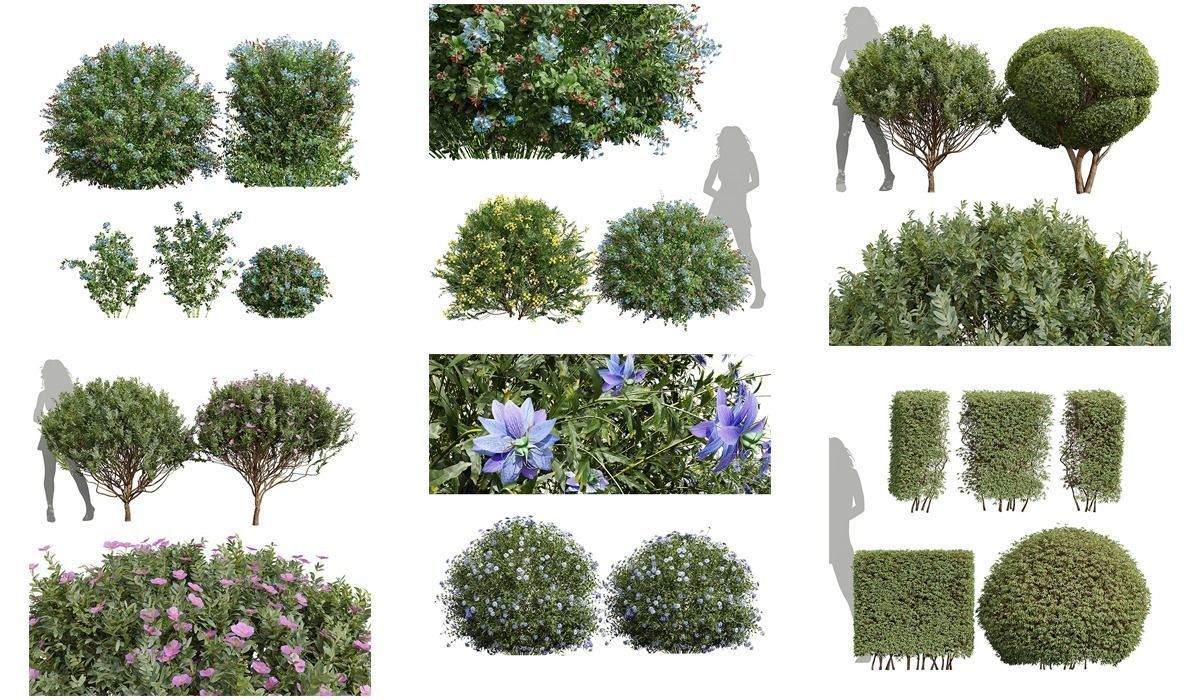 6 Different SETS of Box Bush SET VOL38 3D Model Collection_30