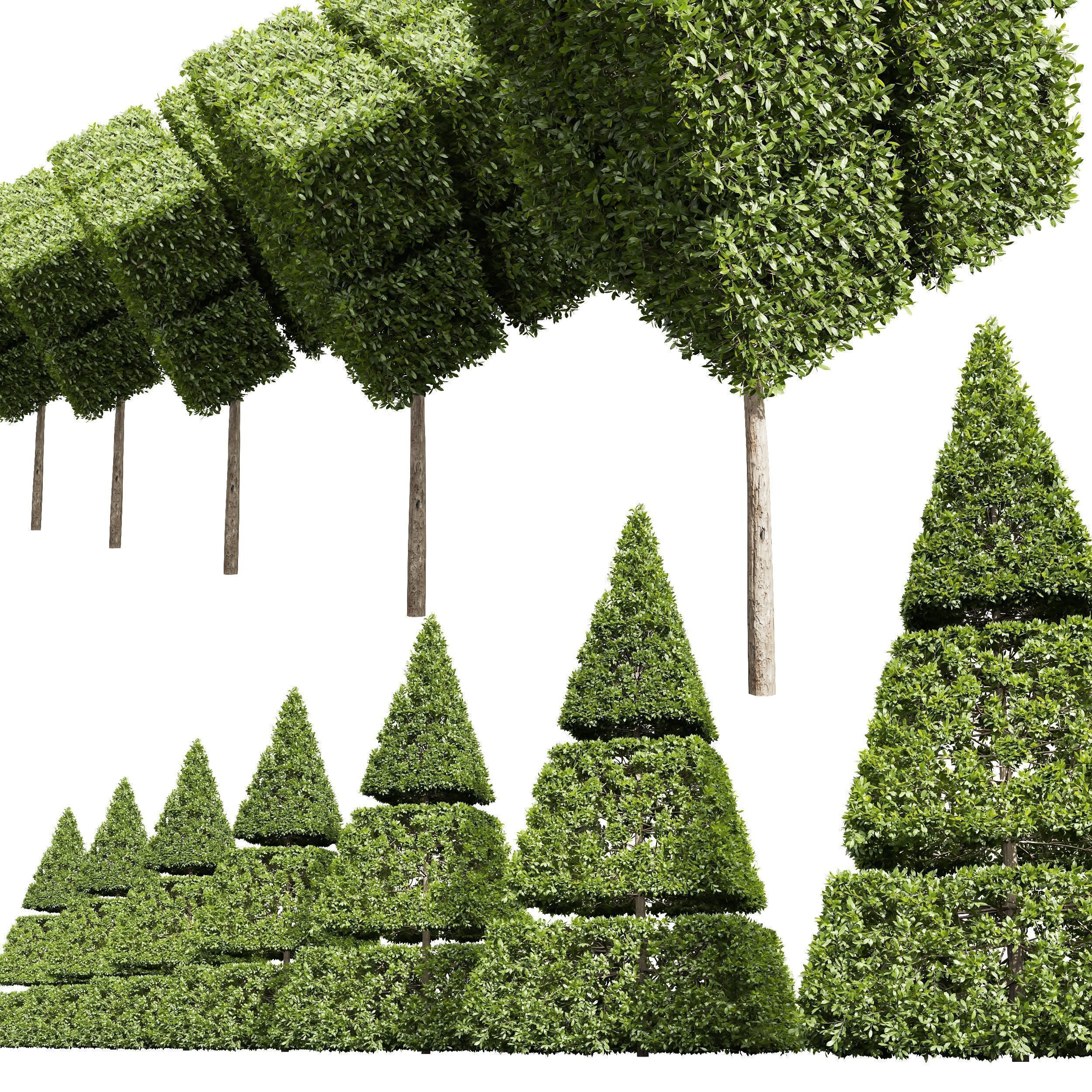 6 Different SETS of Bush SET VOL39 3D Model Collection_27