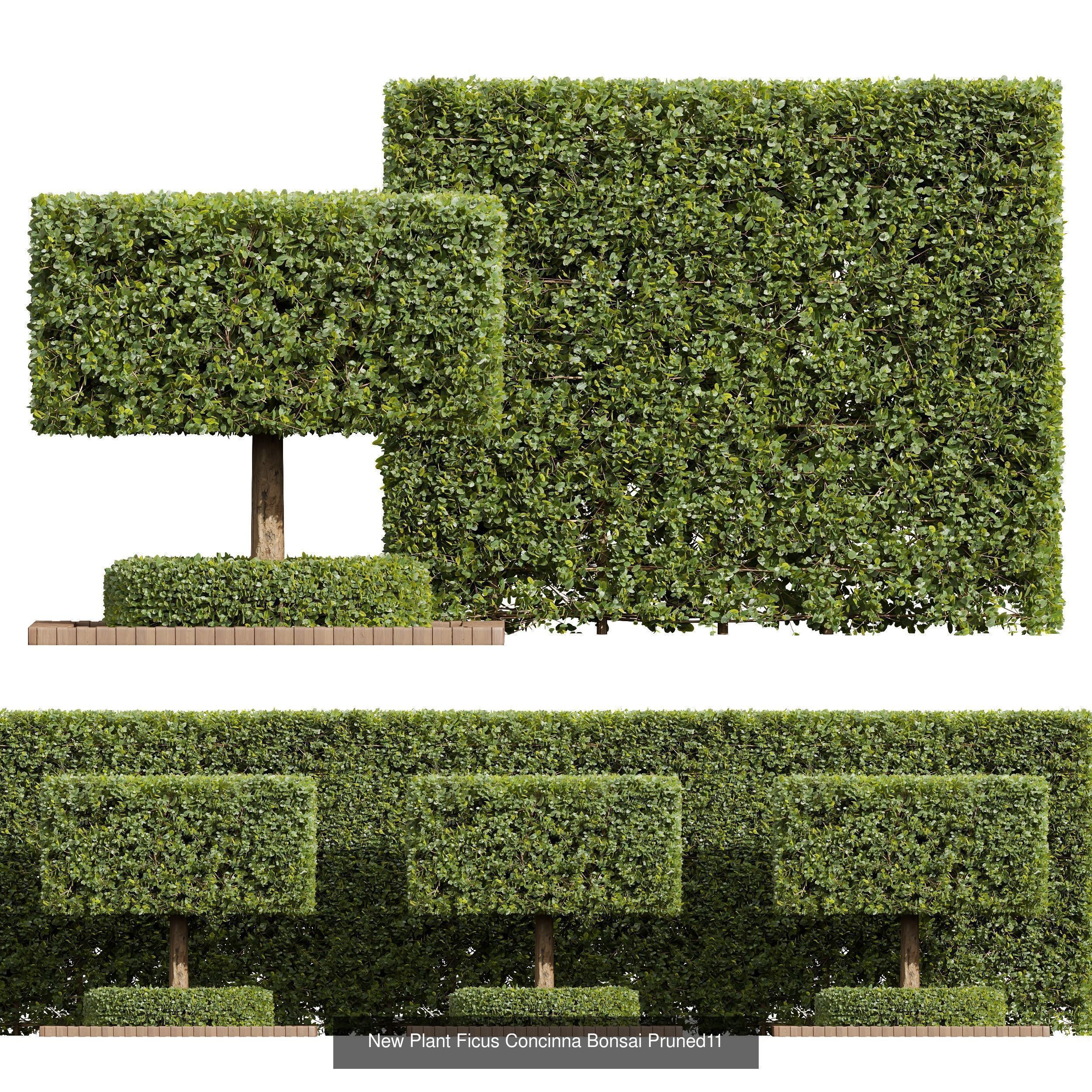 6 Different SETS of Bush SET VOL39 3D Model Collection_1