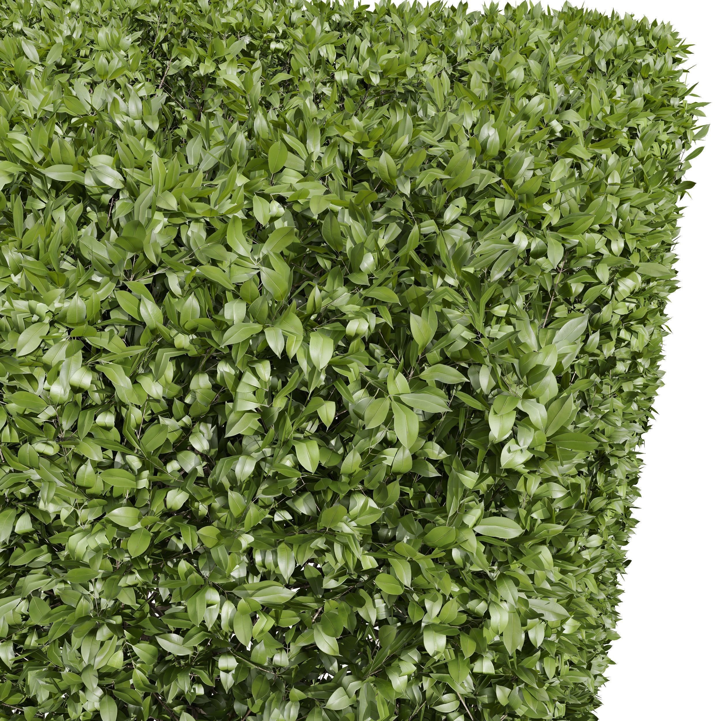 6 Different SETS of Bush SET VOL39 3D Model Collection_18