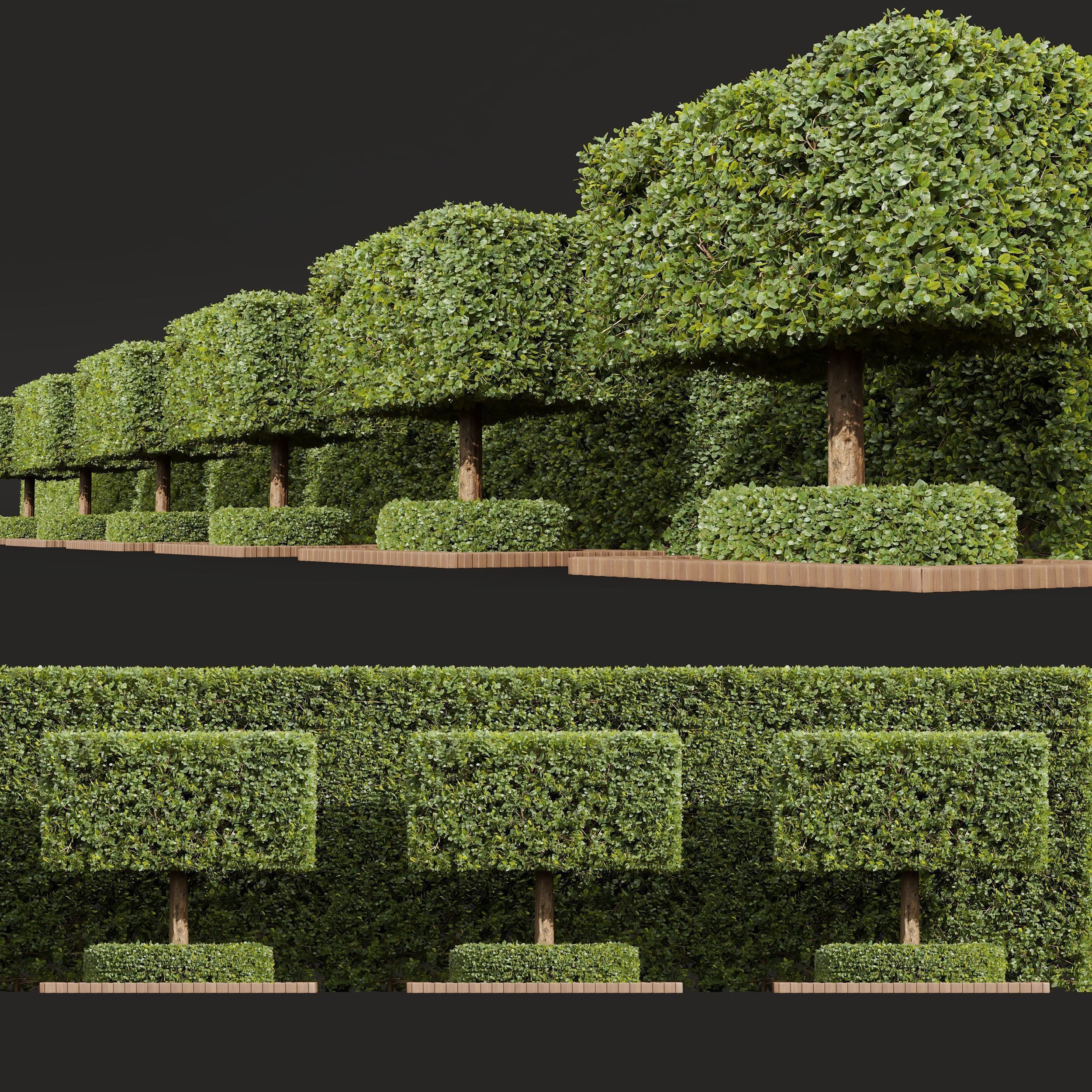 6 Different SETS of Bush SET VOL39 3D Model Collection_8