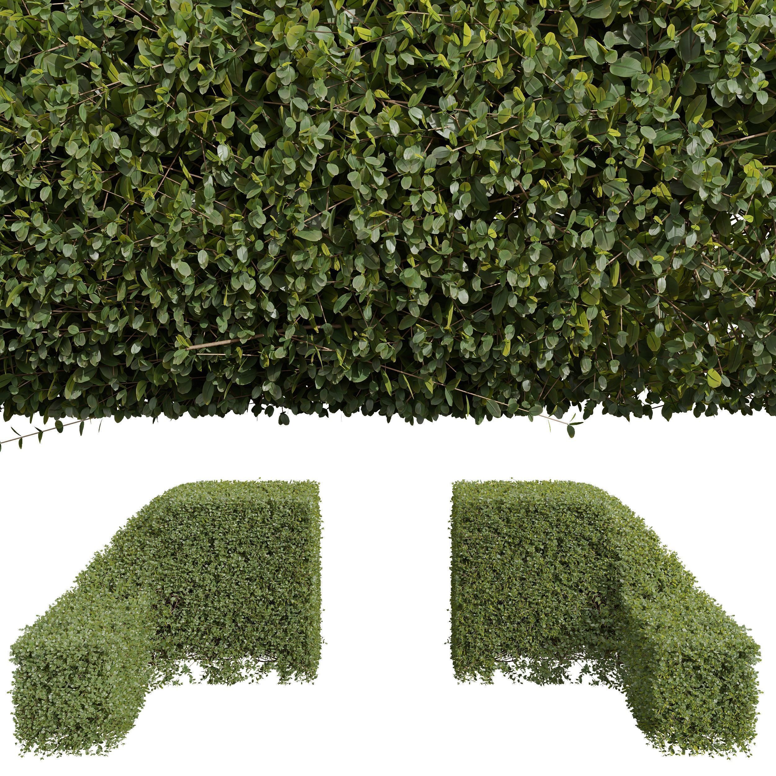 6 Different SETS of Bush SET VOL39 3D Model Collection_7