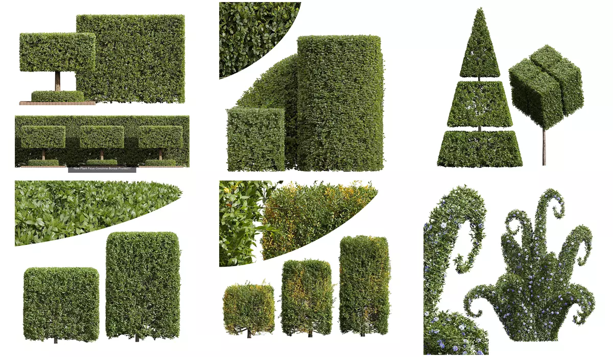 6 Different SETS of Bush SET VOL39 3D Model Collection_0