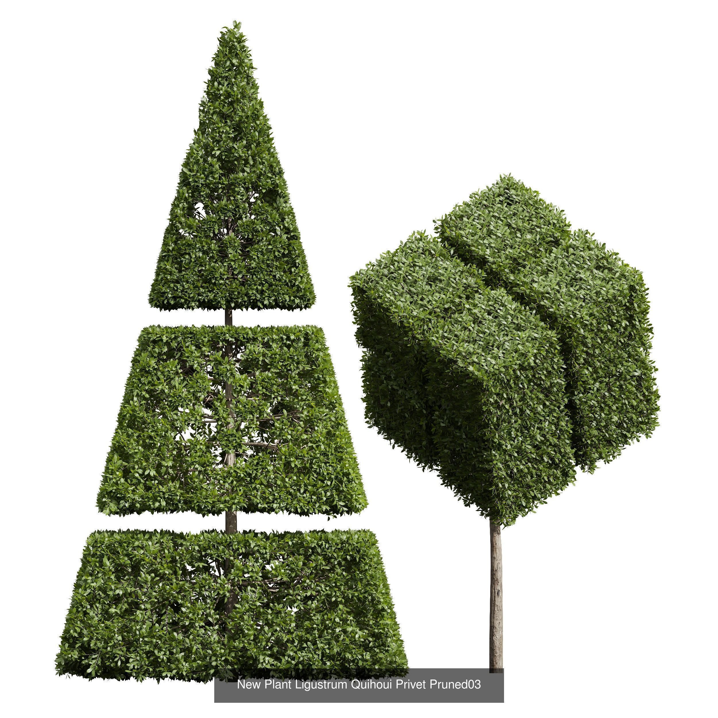 6 Different SETS of Bush SET VOL39 3D Model Collection_5