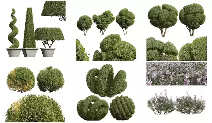  6 Different SETS of Bush SET VOL40 3D Model Collection