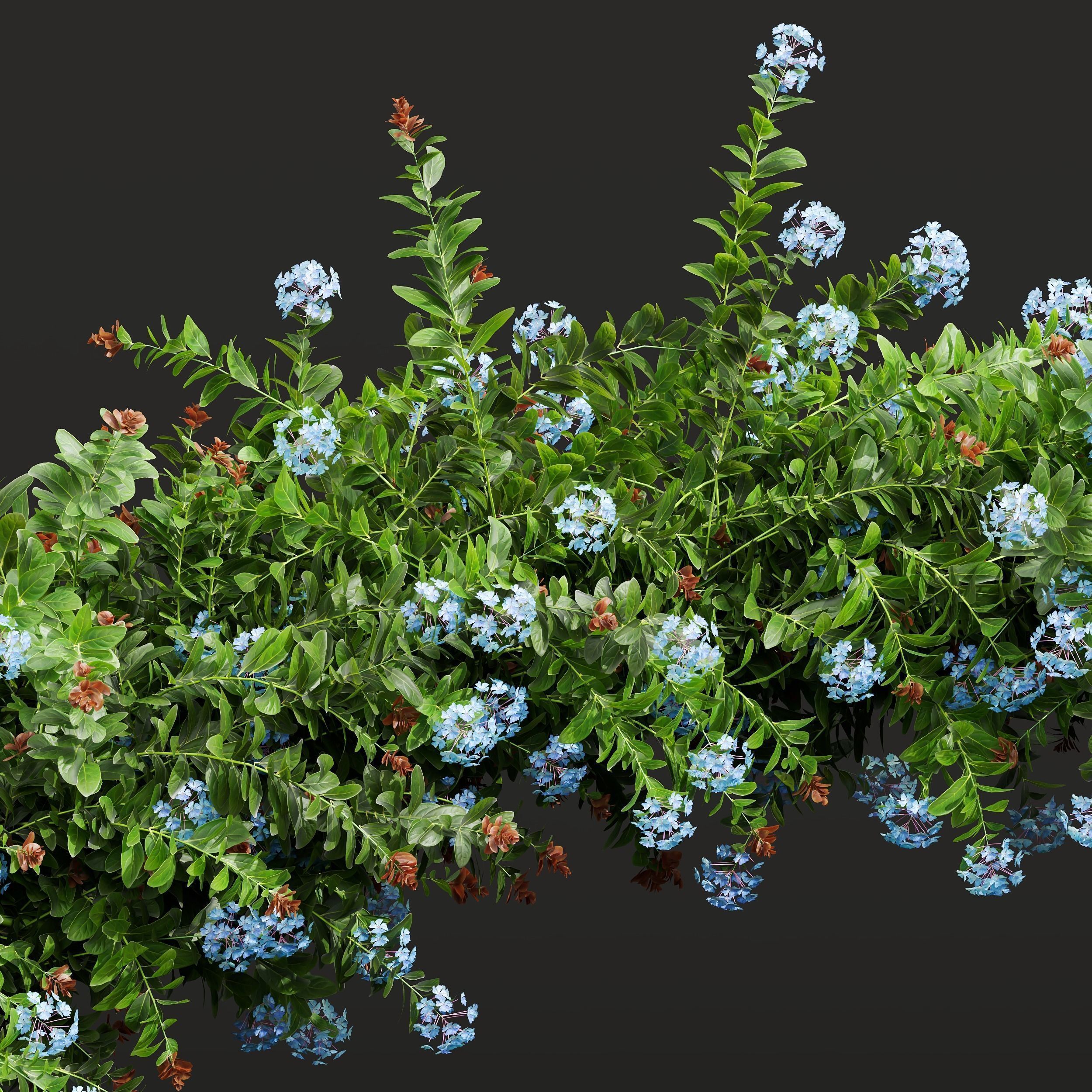 6 Different SETS of Decorative Plant SET VOL41 3D Model Collection_15
