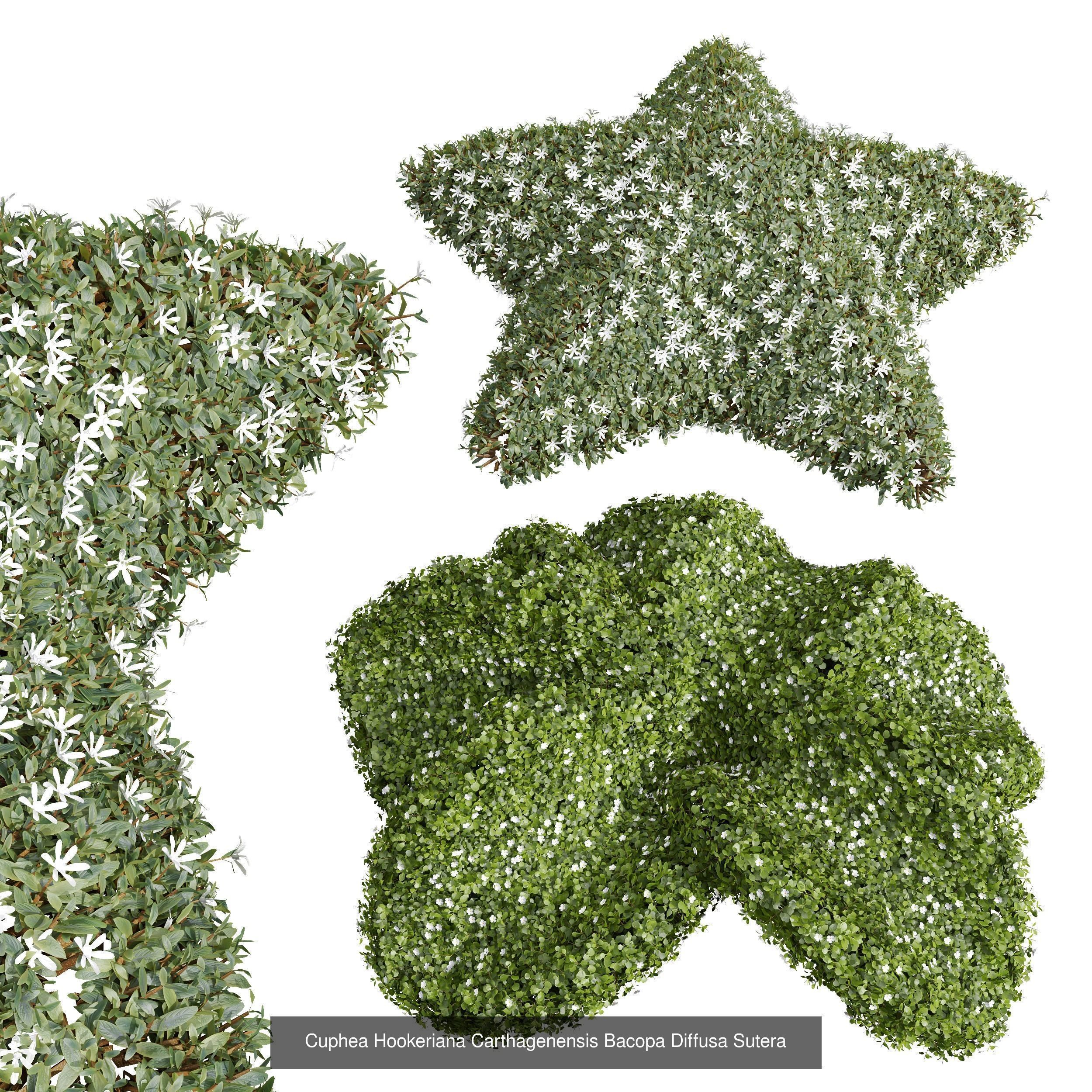 6 Different SETS of Decorative Plant SET VOL41 3D Model Collection_6