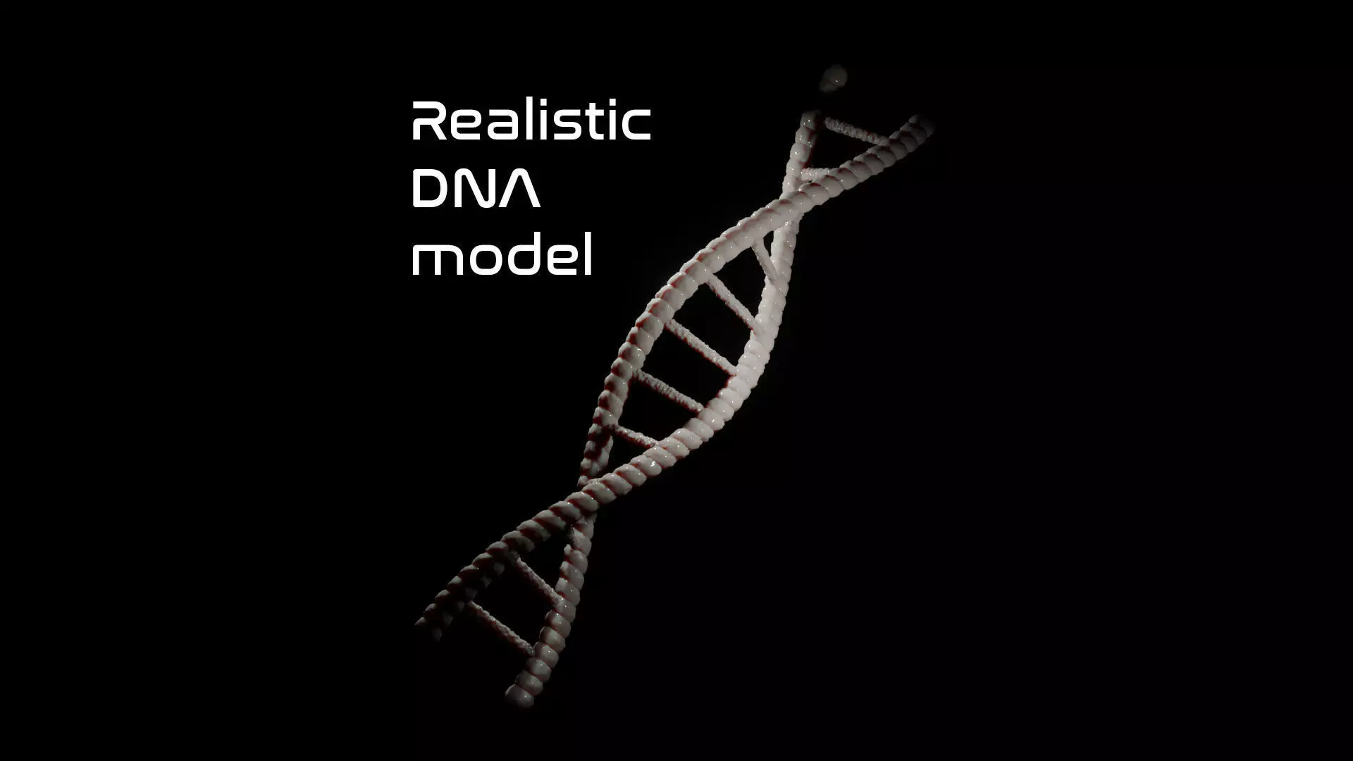 Professional realistic DNA Fragment 3D model Free 3D model