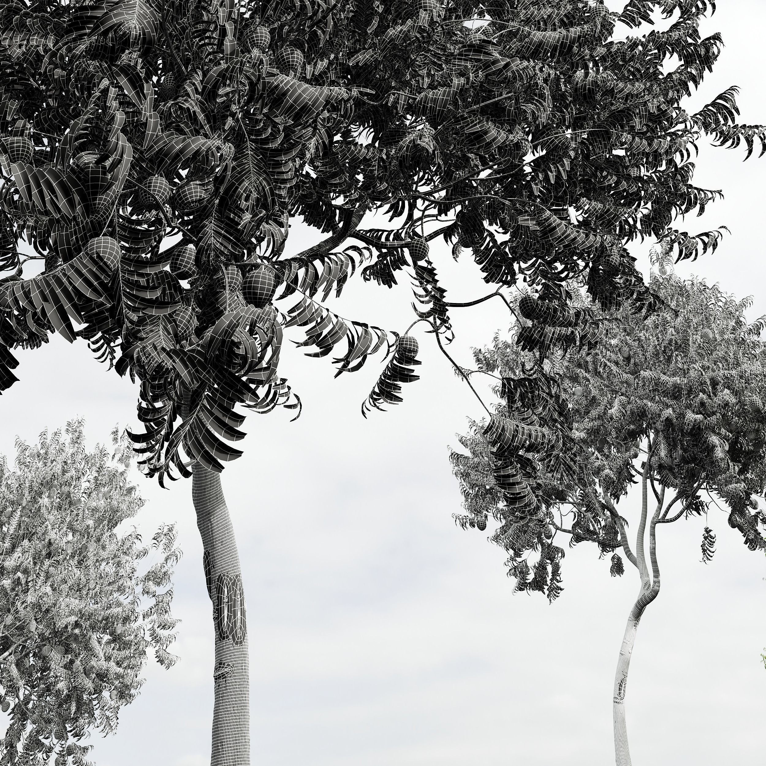 6 Different SETS of Tree SET VOL45 3D Model Collection_22