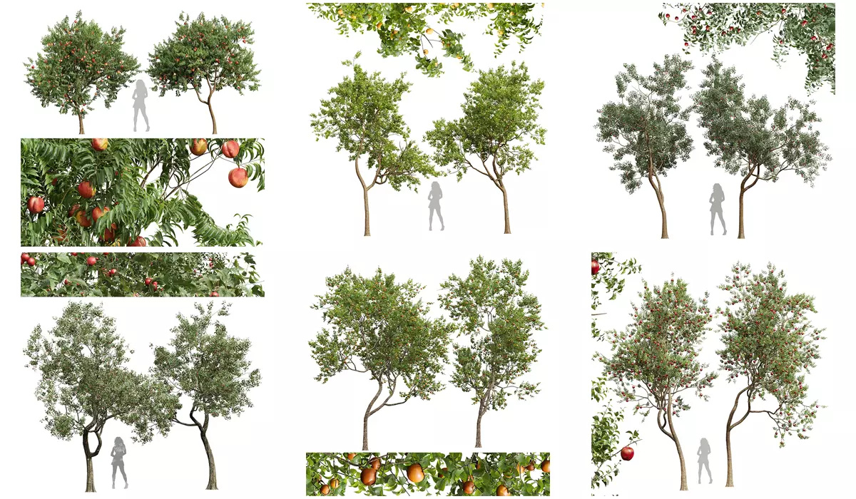 6 Different SETS of Tree SET VOL45 3D Model Collection_0