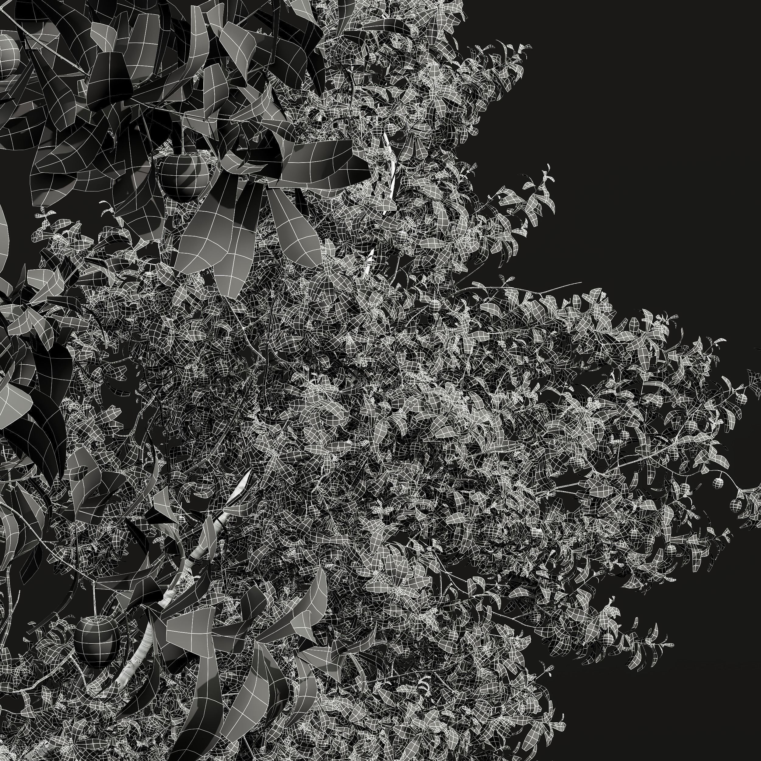 6 Different SETS of Tree SET VOL45 3D Model Collection_24