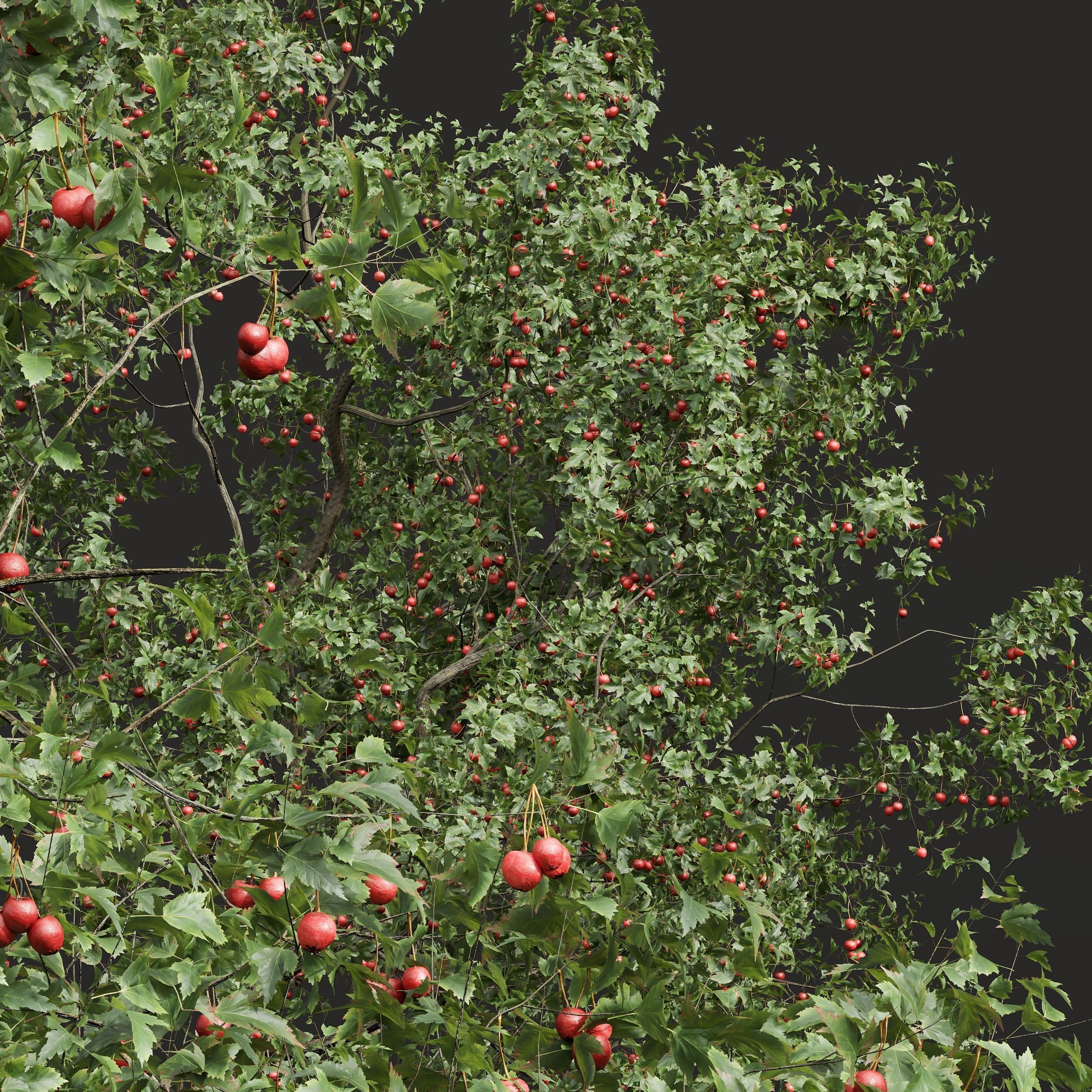 6 Different SETS of Tree SET VOL45 3D Model Collection_15