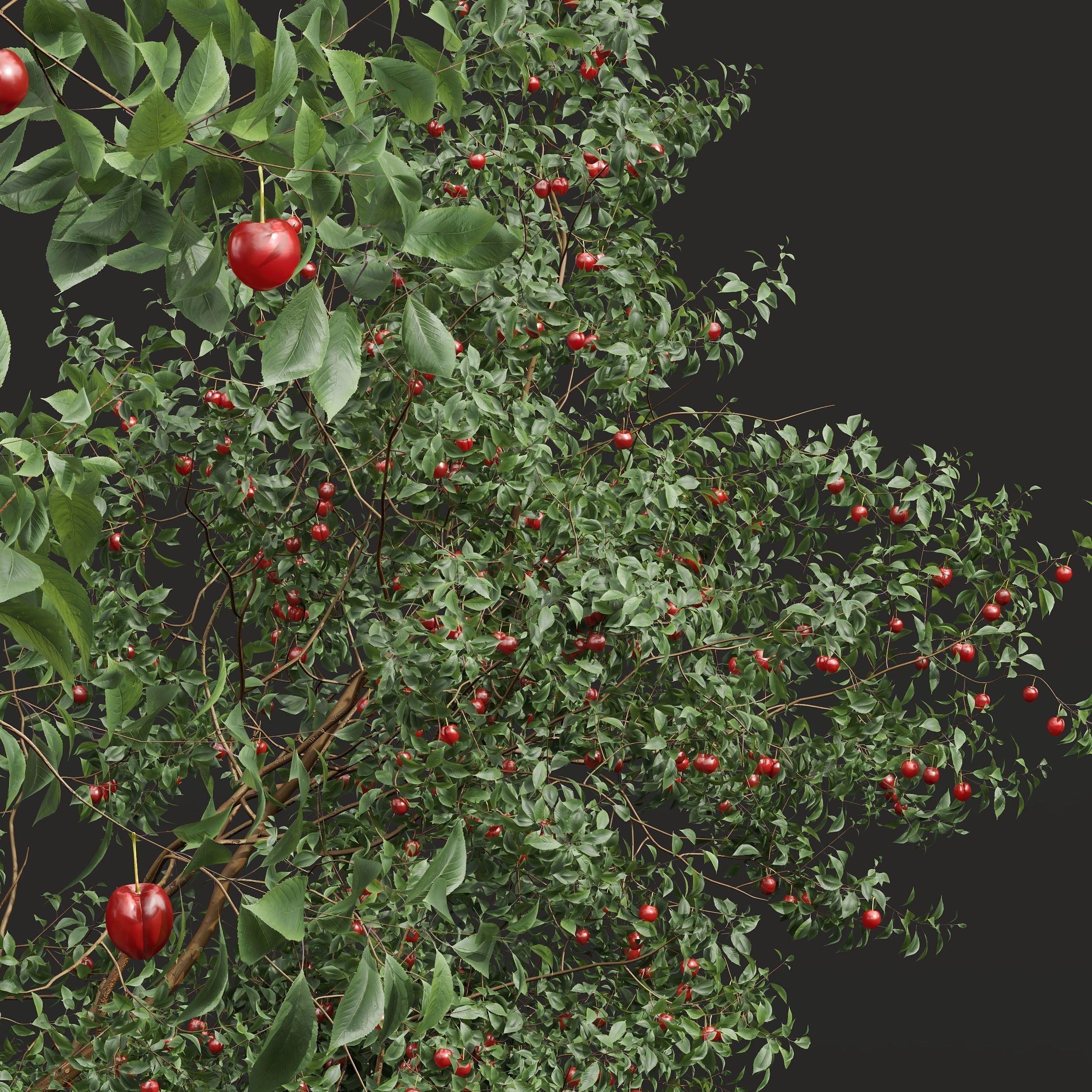 6 Different SETS of Tree SET VOL45 3D Model Collection_18