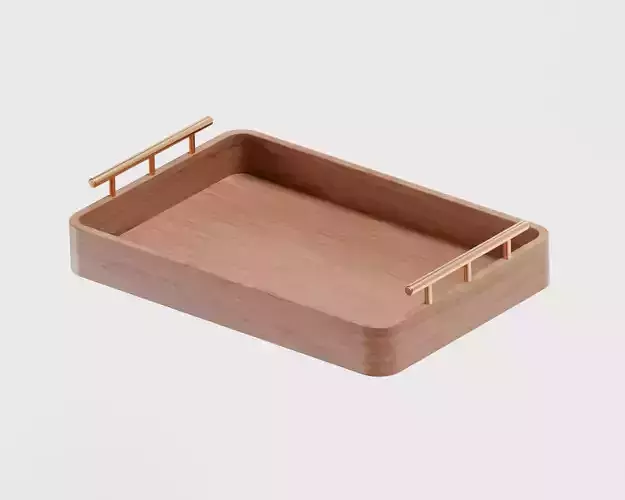 Tray 3d model