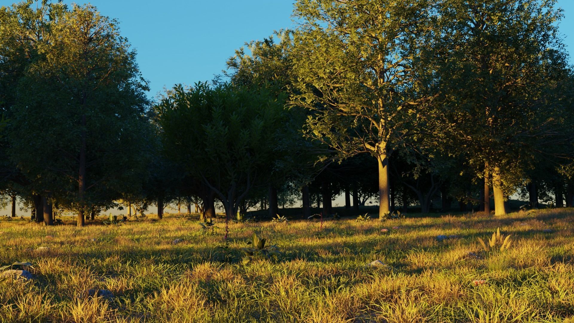 August Forest 3D model_2