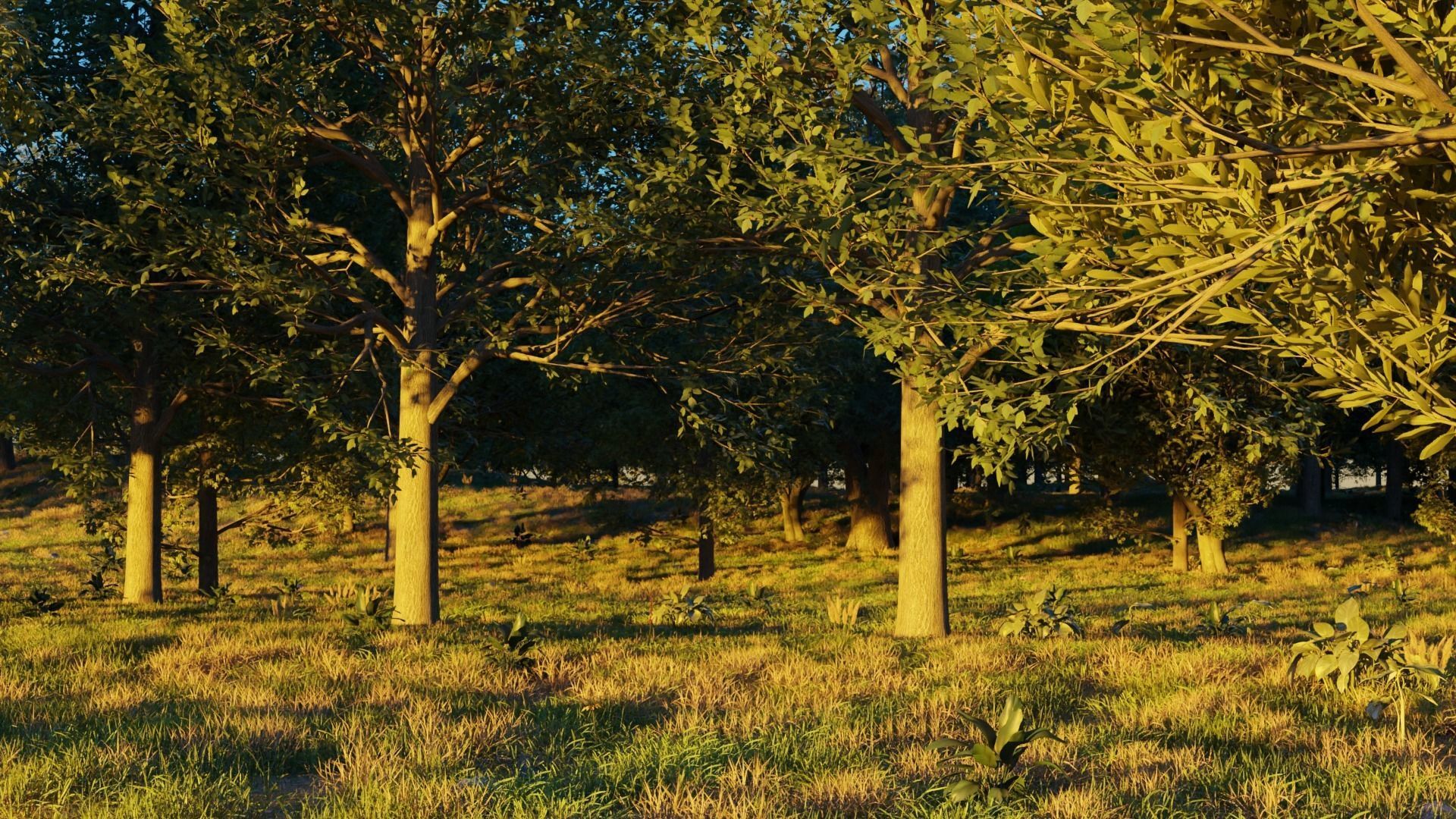 August Forest 3D model_1