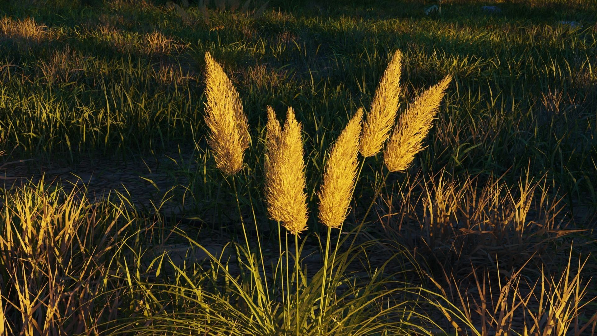 August Forest 3D model_5