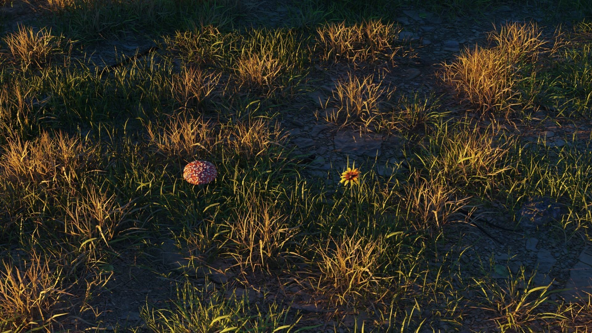 August Forest 3D model_7